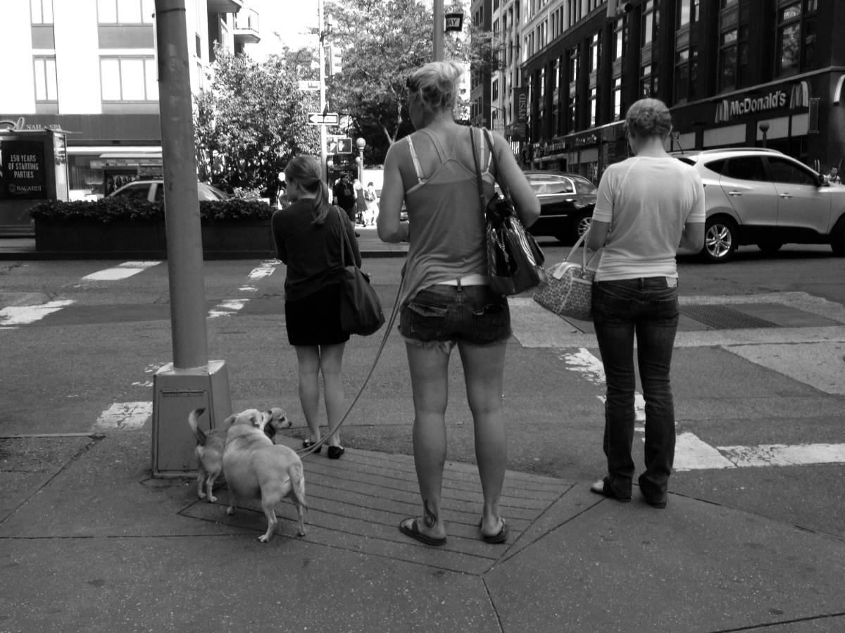 NYC2012Dogs03_3623