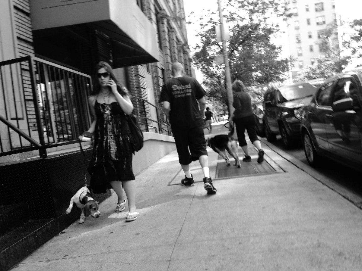 NYC2012Dogs_3244