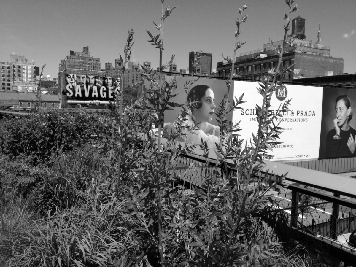 NYC2012Savages_1316