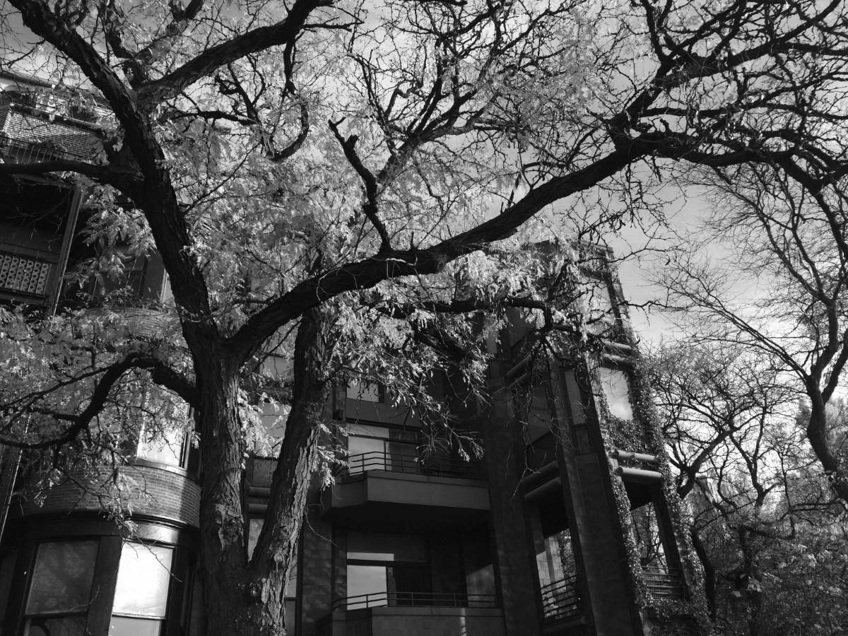 NYC2015BrooklynHeights04_7816