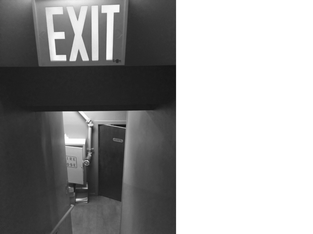 NYC2015FireExit_7819