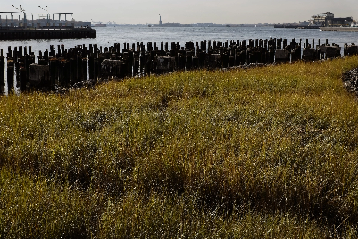 NYC_DSF3735Colour