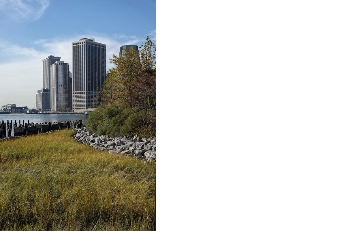 NYC_DSF3737Colour